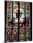 Stained Glass Windows in Cologne Cathedral, Cologne, North Rhine Westphalia, Germany-Yadid Levy-Mounted Photographic Print