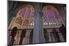 Stained Glass Windows Inside Saint Gatien Cathedral, Tours, Indre-Et-Loire, Centre, France, Europe-Julian Elliott-Mounted Photographic Print