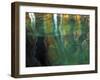 Stained Rock Underwater, Pictured Rocks National Lakeshore, Michigan, USA-Claudia Adams-Framed Premium Photographic Print