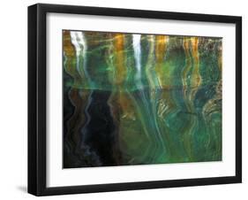 Stained Rock Underwater, Pictured Rocks National Lakeshore, Michigan, USA-Claudia Adams-Framed Premium Photographic Print