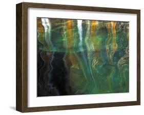 Stained Rock Underwater, Pictured Rocks National Lakeshore, Michigan, USA-Claudia Adams-Framed Photographic Print