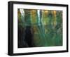 Stained Rock Underwater, Pictured Rocks National Lakeshore, Michigan, USA-Claudia Adams-Framed Photographic Print