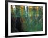 Stained Rock Underwater, Pictured Rocks National Lakeshore, Michigan, USA-Claudia Adams-Framed Photographic Print