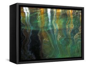 Stained Rock Underwater, Pictured Rocks National Lakeshore, Michigan, USA-Claudia Adams-Framed Stretched Canvas