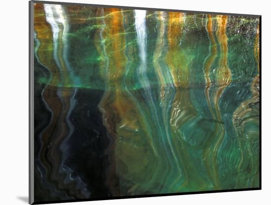 Stained Rock Underwater, Pictured Rocks National Lakeshore, Michigan, USA-Claudia Adams-Mounted Photographic Print