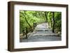 Staircase in Park.Kyoto.Japan.-Stanislav Komogorov-Framed Photographic Print