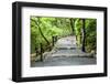 Staircase in Park.Kyoto.Japan.-Stanislav Komogorov-Framed Photographic Print