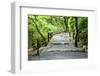 Staircase in Park.Kyoto.Japan.-Stanislav Komogorov-Framed Photographic Print