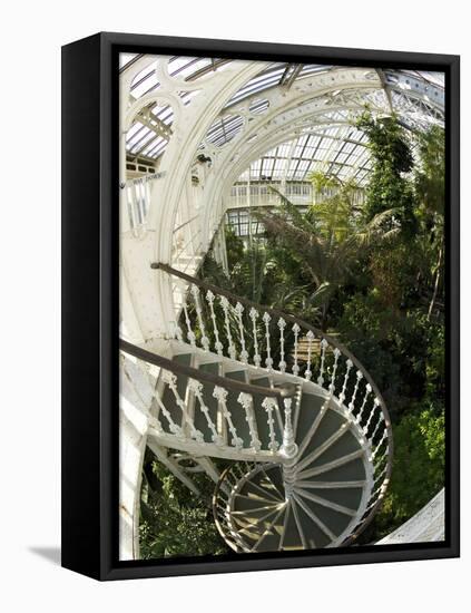 Staircase in Temperate House, Royal Botanic Gardens, UNESCO World Heritage Site, London, England-Peter Barritt-Framed Stretched Canvas