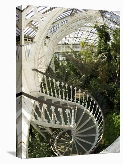 Staircase in Temperate House, Royal Botanic Gardens, UNESCO World Heritage Site, London, England-Peter Barritt-Stretched Canvas