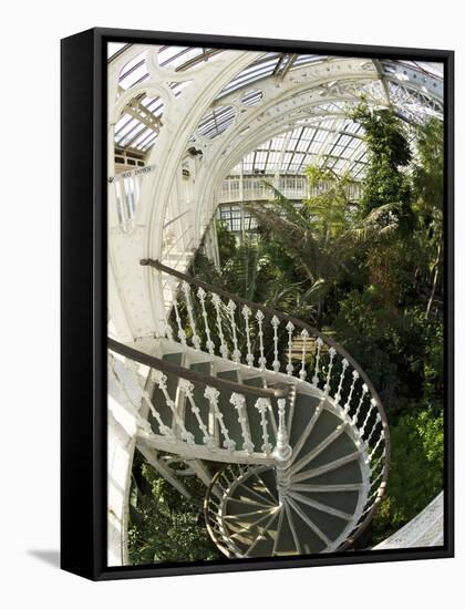 Staircase in Temperate House, Royal Botanic Gardens, UNESCO World Heritage Site, London, England-Peter Barritt-Framed Stretched Canvas