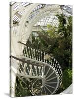 Staircase in Temperate House, Royal Botanic Gardens, UNESCO World Heritage Site, London, England-Peter Barritt-Stretched Canvas