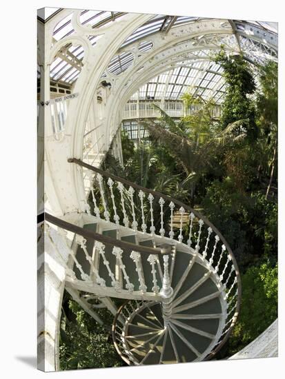 Staircase in Temperate House, Royal Botanic Gardens, UNESCO World Heritage Site, London, England-Peter Barritt-Stretched Canvas