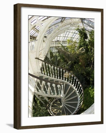 Staircase in Temperate House, Royal Botanic Gardens, UNESCO World Heritage Site, London, England-Peter Barritt-Framed Photographic Print