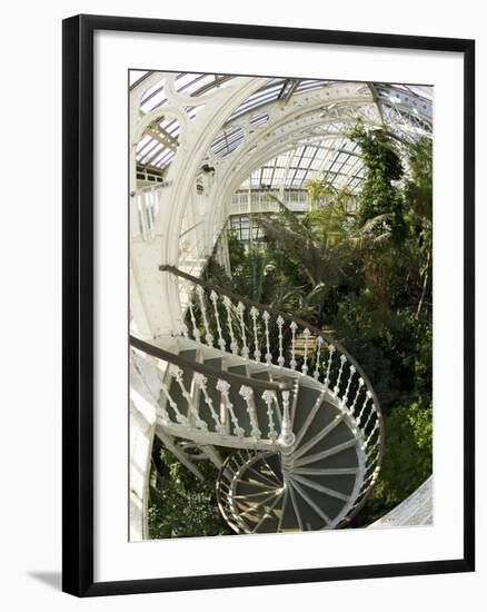 Staircase in Temperate House, Royal Botanic Gardens, UNESCO World Heritage Site, London, England-Peter Barritt-Framed Photographic Print