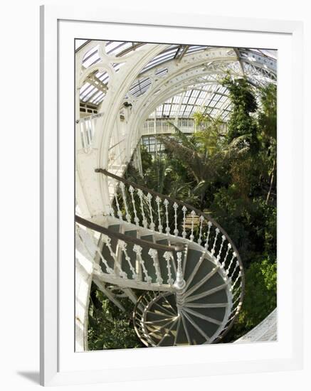 Staircase in Temperate House, Royal Botanic Gardens, UNESCO World Heritage Site, London, England-Peter Barritt-Framed Photographic Print