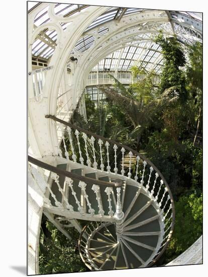 Staircase in Temperate House, Royal Botanic Gardens, UNESCO World Heritage Site, London, England-Peter Barritt-Mounted Photographic Print