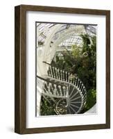 Staircase in Temperate House, Royal Botanic Gardens, UNESCO World Heritage Site, London, England-Peter Barritt-Framed Photographic Print