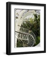 Staircase in Temperate House, Royal Botanic Gardens, UNESCO World Heritage Site, London, England-Peter Barritt-Framed Photographic Print