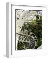 Staircase in Temperate House, Royal Botanic Gardens, UNESCO World Heritage Site, London, England-Peter Barritt-Framed Photographic Print