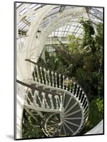 Staircase in Temperate House, Royal Botanic Gardens, UNESCO World Heritage Site, London, England-Peter Barritt-Mounted Photographic Print