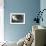 Staircase Inside Tower of a Lighthouse Built in 1854, Isle De Re-LatitudeStock-Framed Photographic Print displayed on a wall