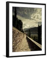 Staircase Leading Towards a Church, Chiesa Santa Maria Del Sasso, Morcote, Lake Lugano, Ticino, ...-null-Framed Premium Photographic Print