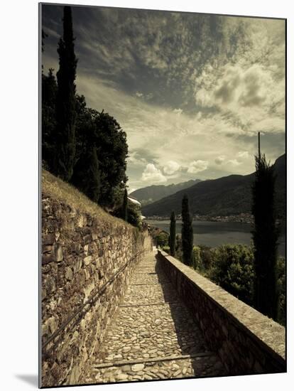 Staircase Leading Towards a Church, Chiesa Santa Maria Del Sasso, Morcote, Lake Lugano, Ticino, ...-null-Mounted Premium Photographic Print