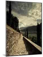 Staircase Leading Towards a Church, Chiesa Santa Maria Del Sasso, Morcote, Lake Lugano, Ticino, ...-null-Mounted Photographic Print