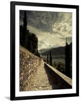 Staircase Leading Towards a Church, Chiesa Santa Maria Del Sasso, Morcote, Lake Lugano, Ticino, ...-null-Framed Photographic Print