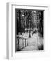 Staircase Montmartre - Paris - France-Philippe Hugonnard-Framed Photographic Print