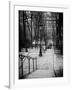 Staircase Montmartre - Paris - France-Philippe Hugonnard-Framed Photographic Print