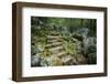 Staircase to Wigwam Falls, Virginia, Blue Ridge Parkway-Anna Miller-Framed Photographic Print