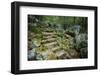 Staircase to Wigwam Falls, Virginia, Blue Ridge Parkway-Anna Miller-Framed Photographic Print