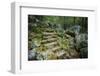 Staircase to Wigwam Falls, Virginia, Blue Ridge Parkway-Anna Miller-Framed Photographic Print