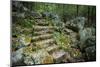 Staircase to Wigwam Falls, Virginia, Blue Ridge Parkway-Anna Miller-Mounted Photographic Print