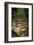 Staircase to Wigwam Falls, Virginia, Blue Ridge Parkway-Anna Miller-Framed Photographic Print