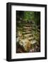 Staircase to Wigwam Falls, Virginia, Blue Ridge Parkway-Anna Miller-Framed Photographic Print