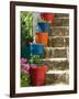 Staircase with Flower Planters, Fiskardo, Kefalonia, Ionian Islands, Greece-Walter Bibikow-Framed Photographic Print