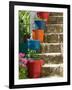 Staircase with Flower Planters, Fiskardo, Kefalonia, Ionian Islands, Greece-Walter Bibikow-Framed Photographic Print