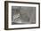 Staircase-Ant Smith-Framed Photographic Print