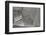 Staircase-Ant Smith-Framed Photographic Print