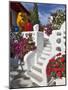 Stairs and Flowers, Chora, Mykonos, Greece-Adam Jones-Mounted Photographic Print