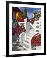 Stairs and Flowers, Chora, Mykonos, Greece-Adam Jones-Framed Photographic Print