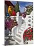 Stairs and Flowers, Chora, Mykonos, Greece-Adam Jones-Mounted Photographic Print