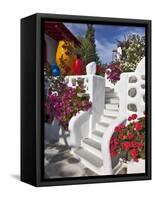 Stairs and Flowers, Chora, Mykonos, Greece-Adam Jones-Framed Stretched Canvas