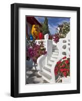 Stairs and Flowers, Chora, Mykonos, Greece-Adam Jones-Framed Photographic Print