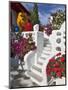 Stairs and Flowers, Chora, Mykonos, Greece-Adam Jones-Mounted Premium Photographic Print