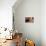 Stairs, France-Panoramic Images-Photographic Print displayed on a wall
