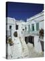 Stairs, Houses and Decorations of Chora, Cyclades Islands, Greece-Michele Molinari-Stretched Canvas